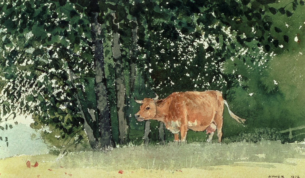 Koe in de Weide door Winslow Homer