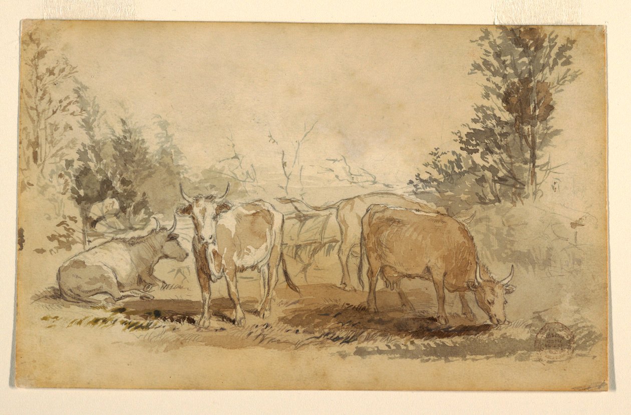 Tekening, Vier grazende koeien in een weiland, ca. 1855-60 door Winslow Homer