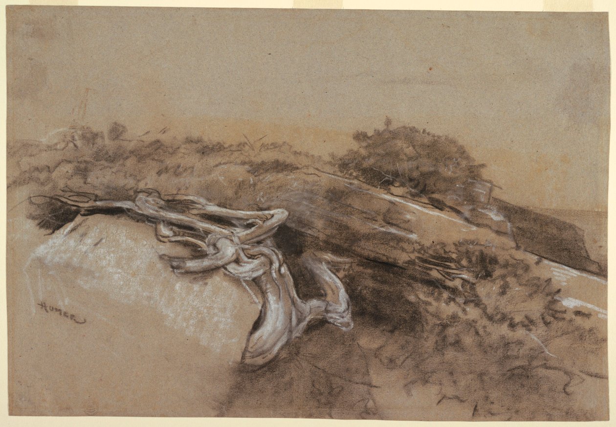 Tekening, Studie van boomwortels, Prout