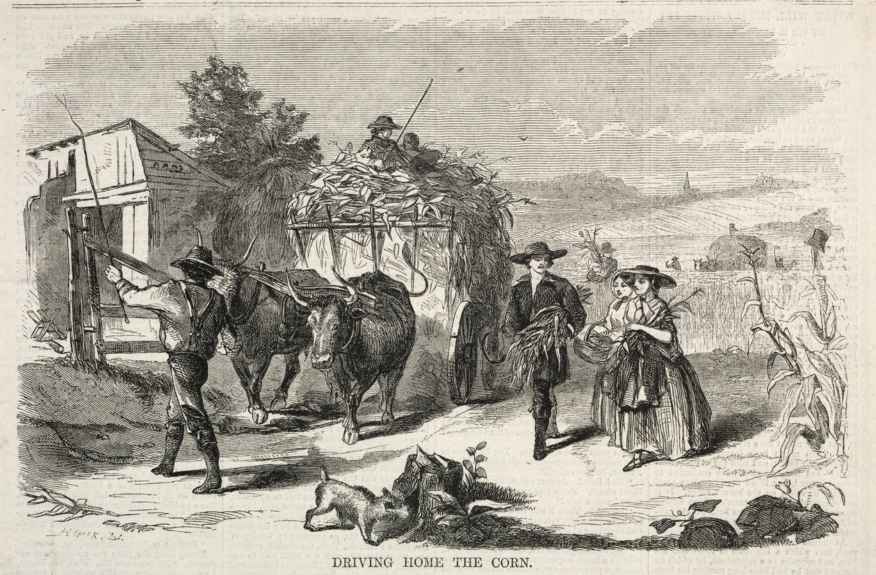 Het graan naar huis brengen, 1858 door Winslow Homer