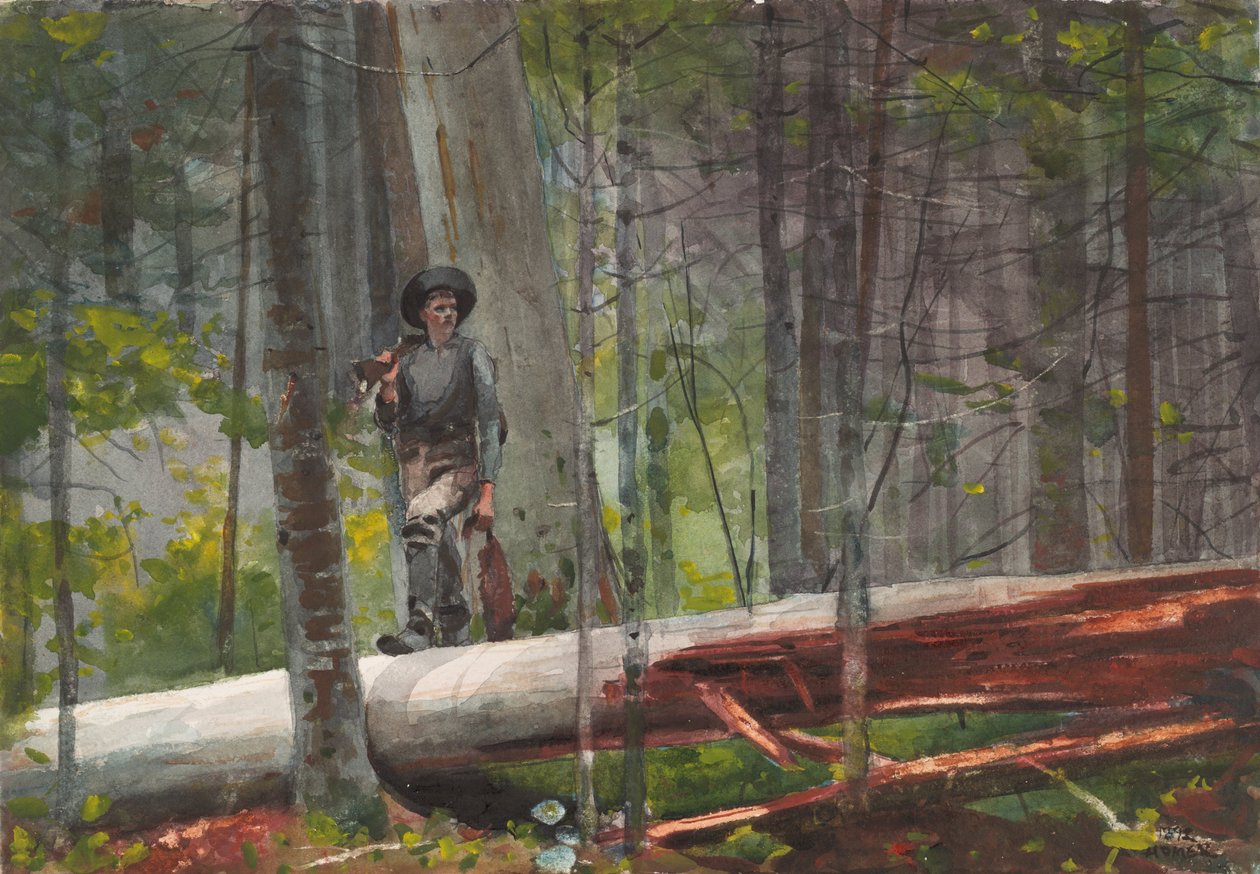 Jager in de Adirondacks door Winslow Homer