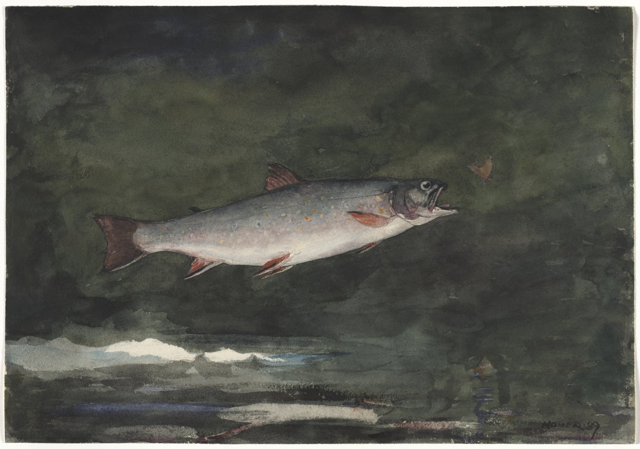 Springende forel door Winslow Homer