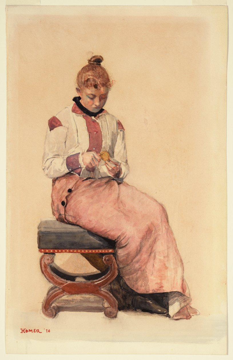 Citroen door Winslow Homer