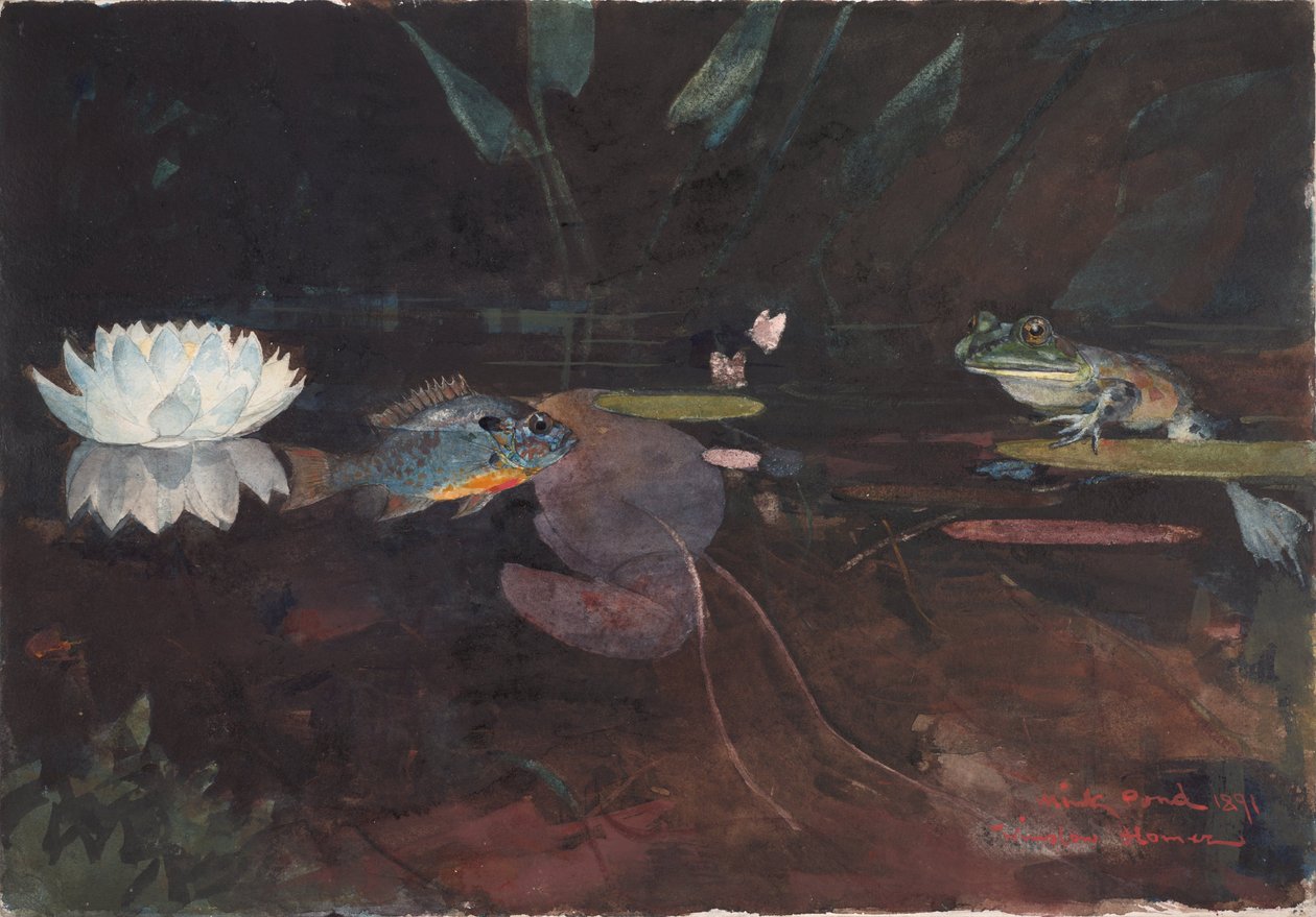 Minkvijver door Winslow Homer