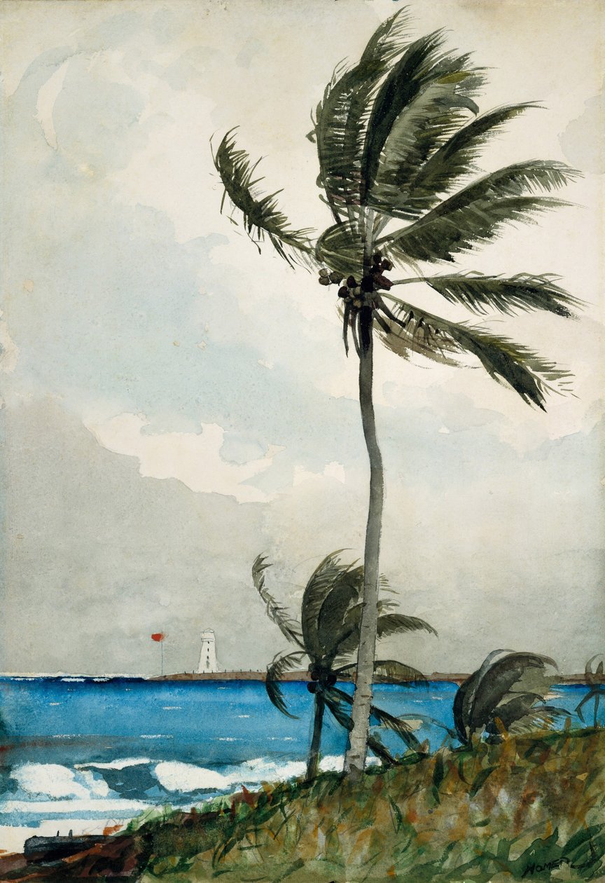 Palmboom, Nassau door Winslow Homer