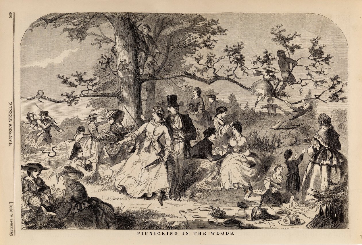 Picknicken in het bos, uit Harper