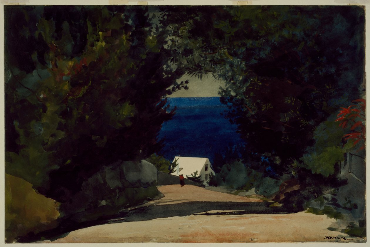 Weg in Bermuda, c.1899-1901 (aquarel op papier) door Winslow Homer