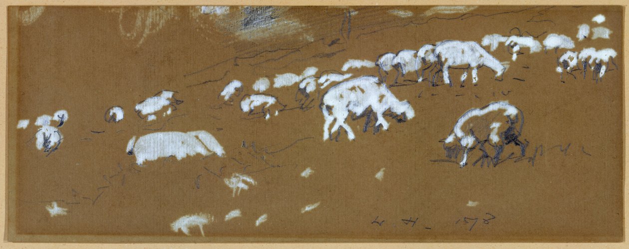 Schapen, 1878 door Winslow Homer