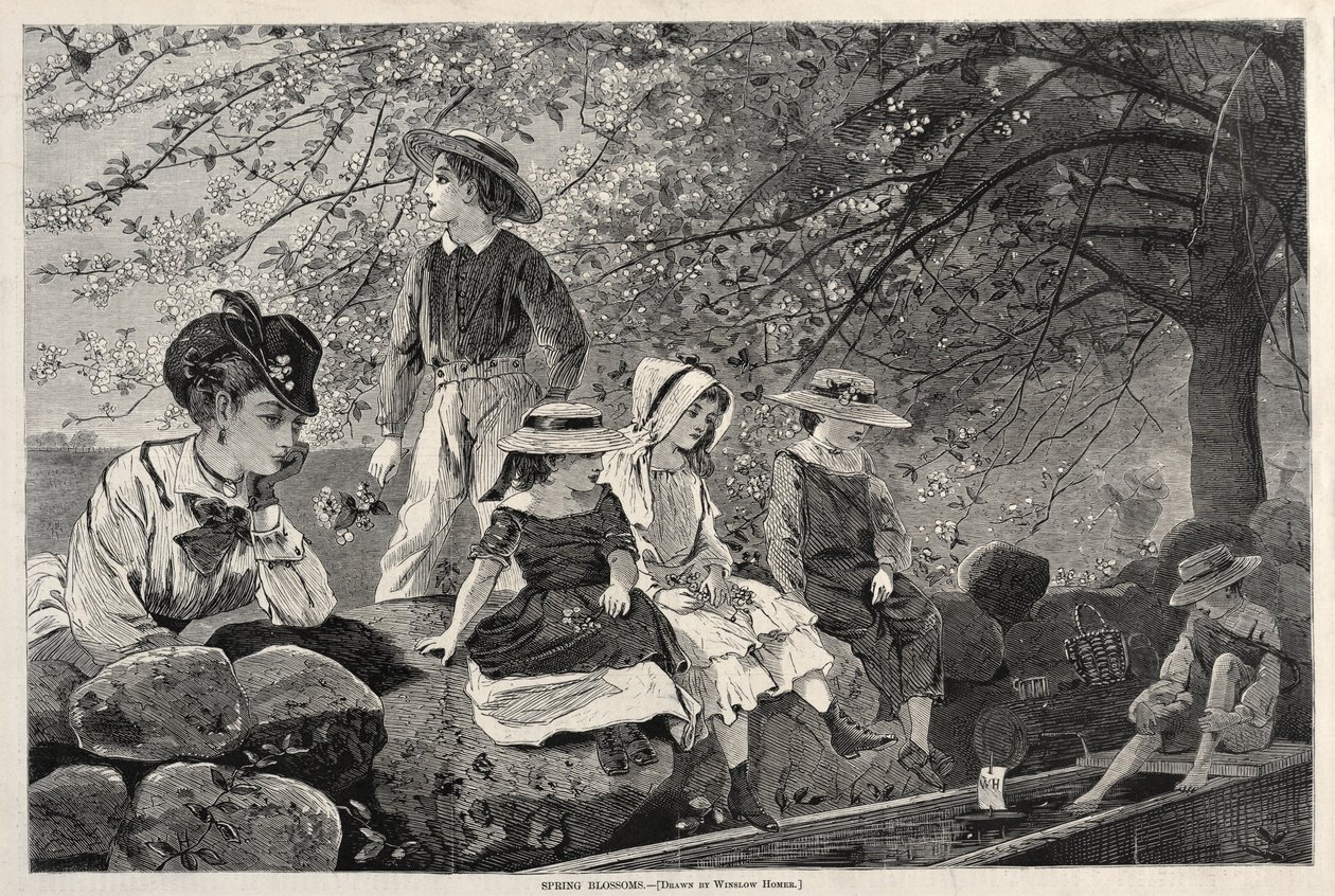 Lentebloesems door Winslow Homer