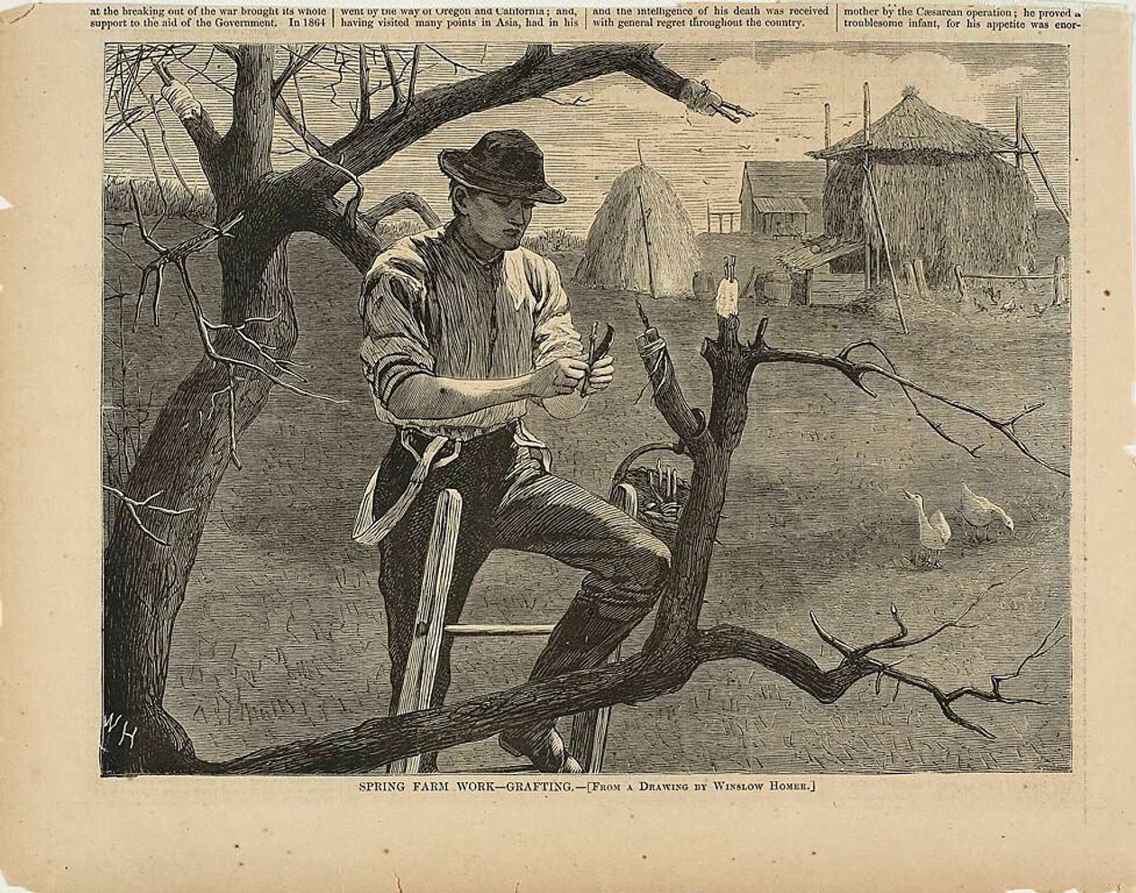 Voorjaarsboerderij-enting door Winslow Homer