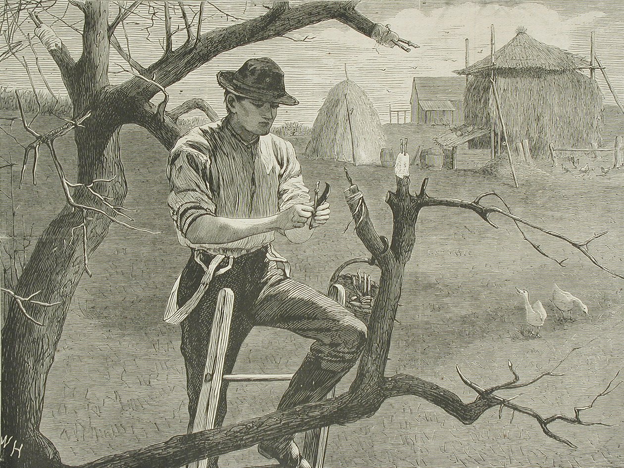 Landbouwwerkzaamheden in het voorjaar – Enten door Winslow Homer