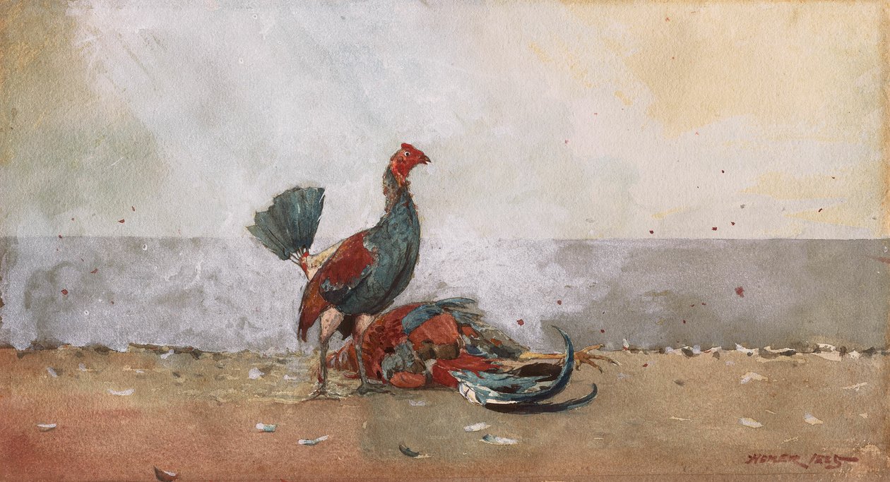 Het Hanengevecht door Winslow Homer