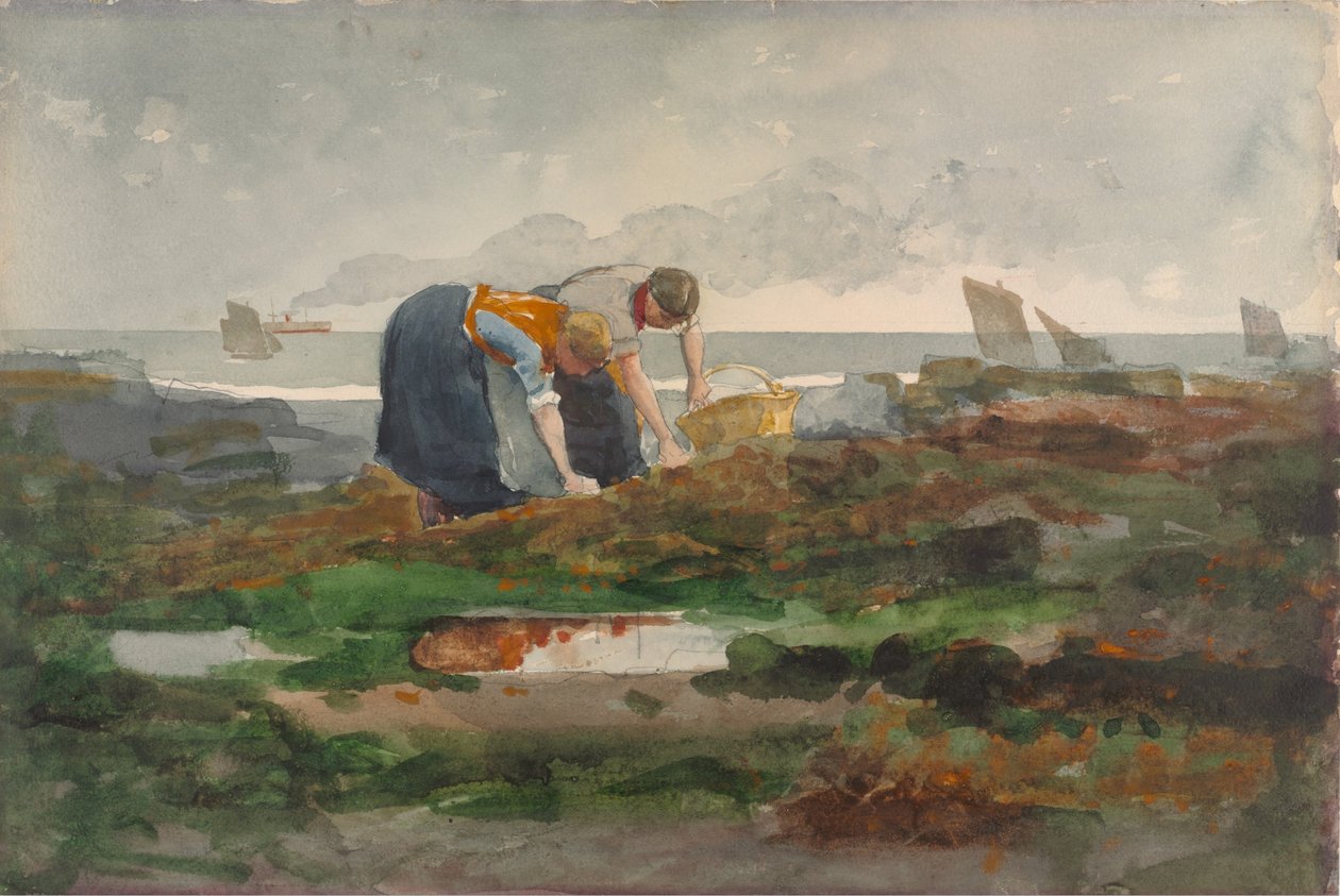 De mosselplukkers door Winslow Homer