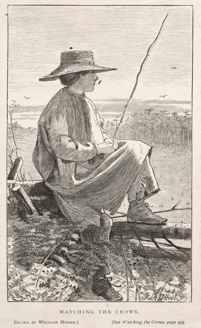 De Kraaien Bekijken door Winslow Homer