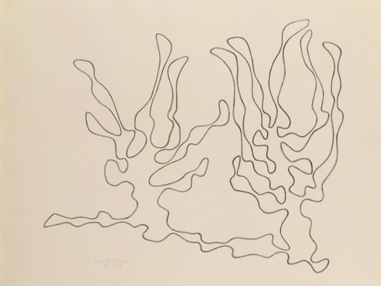 Bialorus Zachodnia-Drzewa door Wladyslaw Strzeminski