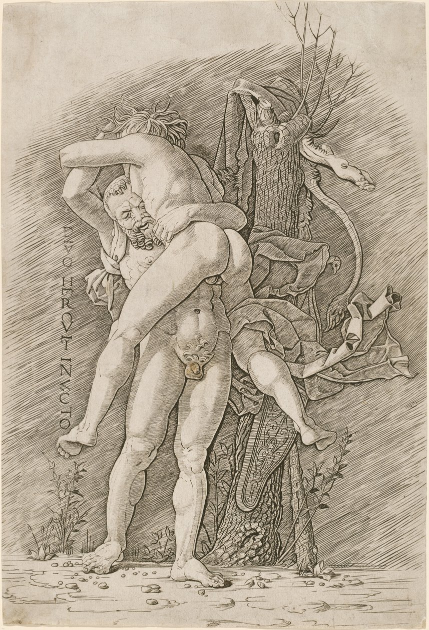 Hercules en Antaeus door Workshop of Andrea Mantegna