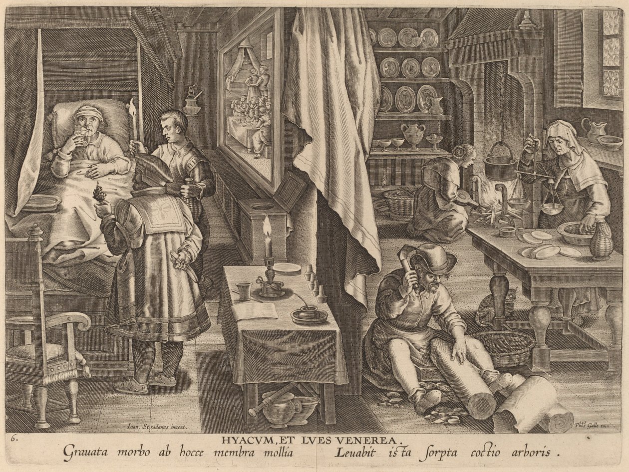 Guaiacum en venerische infectie door Workshop of Philip Galle after Jan van der Straet