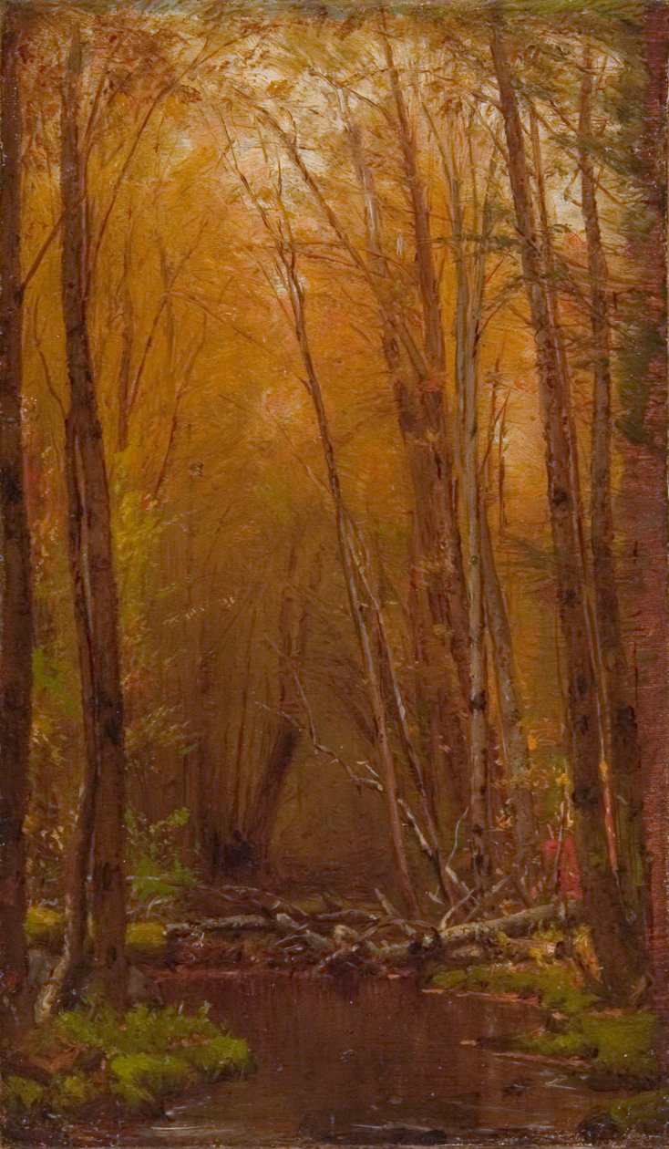 De Berken van de Catskills door Worthington Whittredge