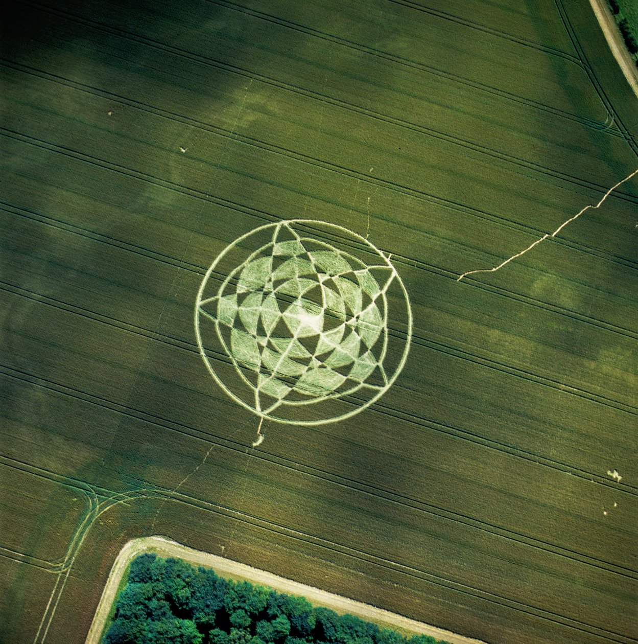 Graancirkel in tarweveld, Avebury Henge, Wiltshire, 22 juni 2002 (luchtfoto) door Ferdinand Georg Waldmuller