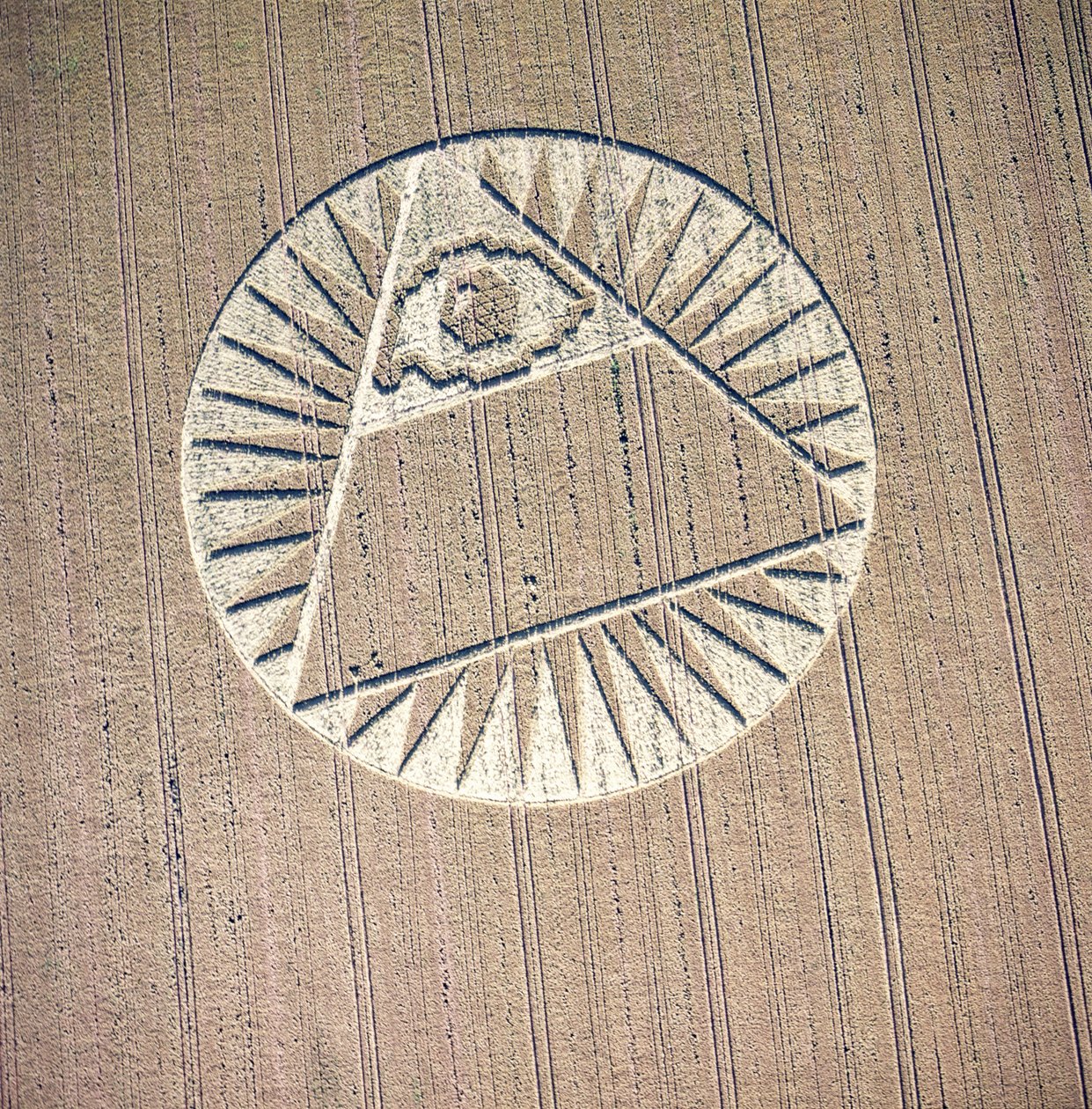 Graancirkel in tarweveld, Highclere, Hampshire, 21 juli 2002 (luchtfoto) door Ferdinand Georg Waldmuller
