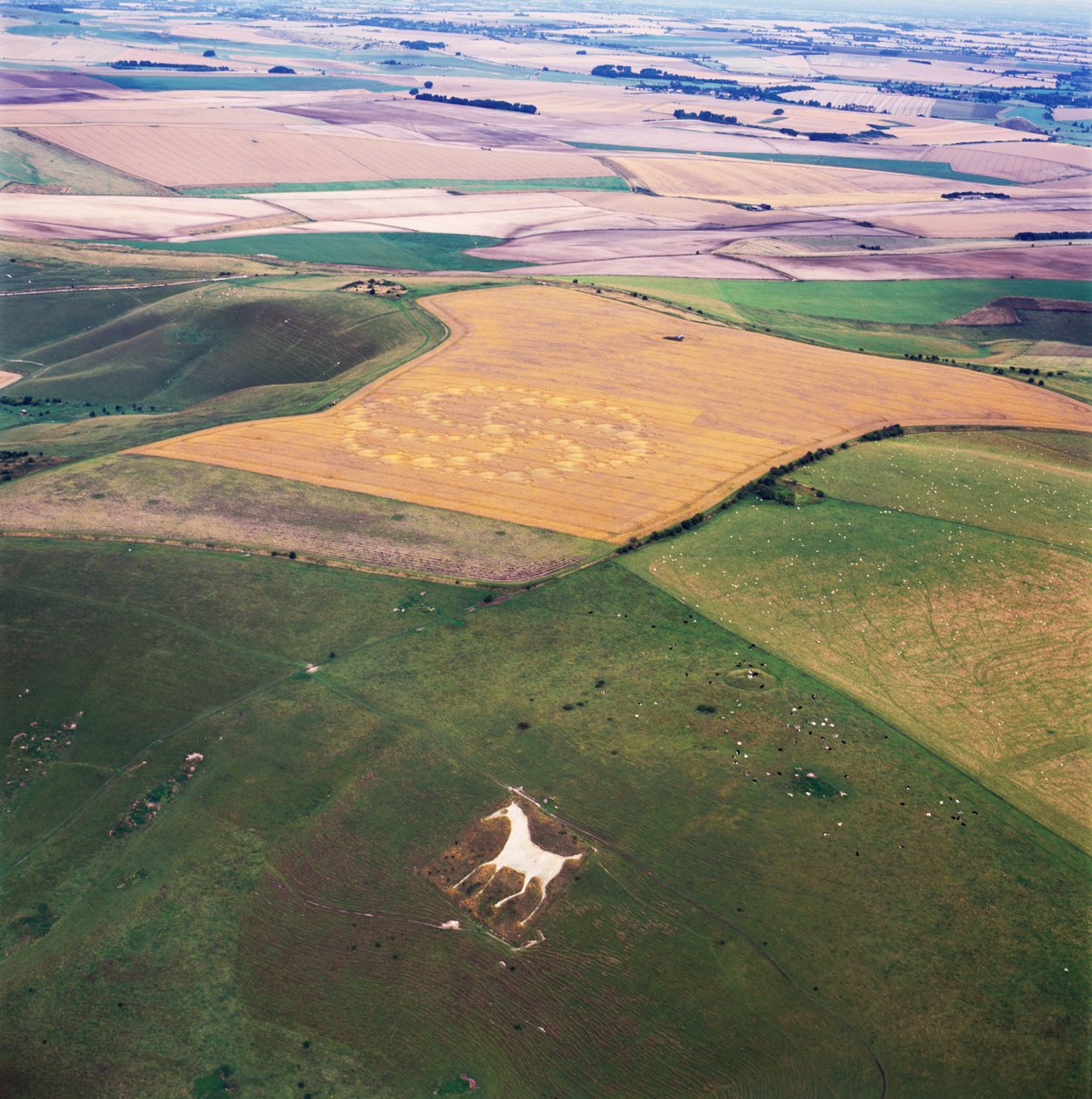 Graancirkel in tarweveld, Milk Hill, Alton Priors, Vale of Pewsey, Wiltshire door Ferdinand Georg Waldmuller