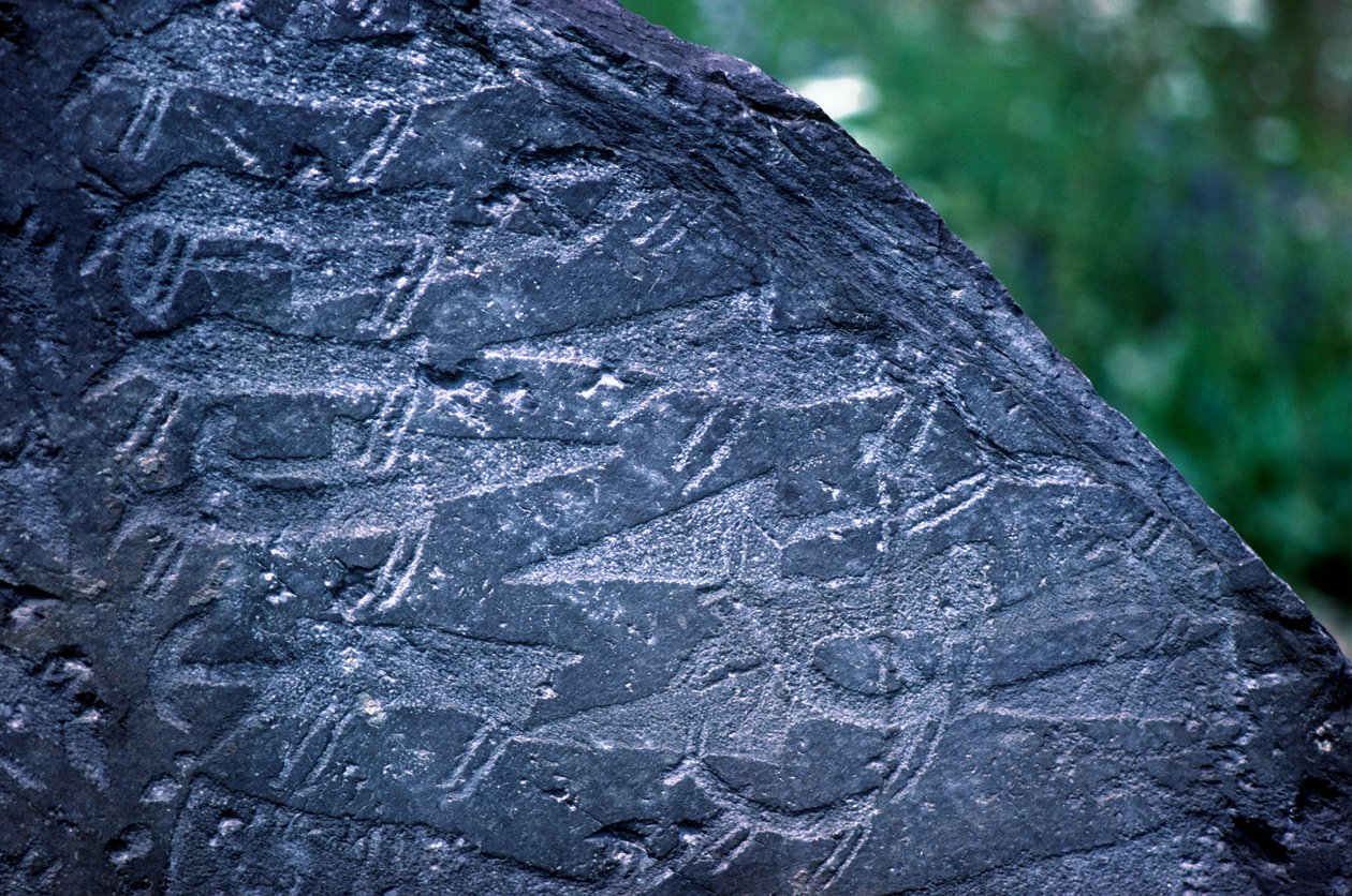 Close-up van rotsgravures in Naquane Nationaal Park door Isabel Redie