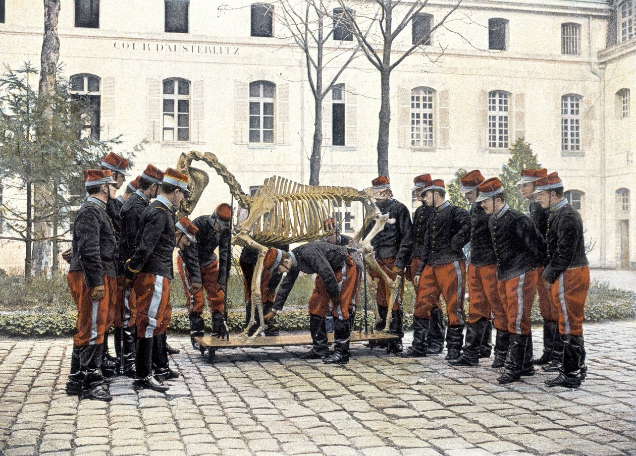 Speciale militaire school van Saint-Cyr door French School