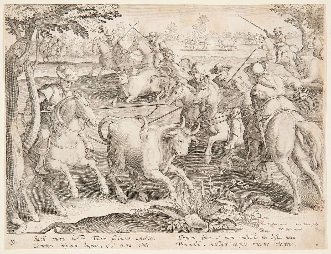 Vangen van wilde stieren door after Jan van der Straet, called Stradanus