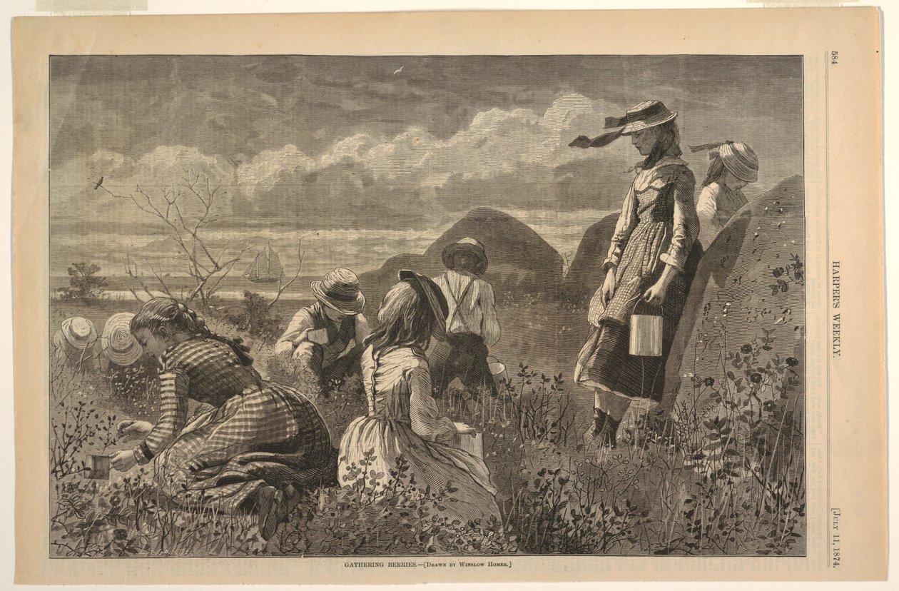 Bessen Plukken door Winslow Homer