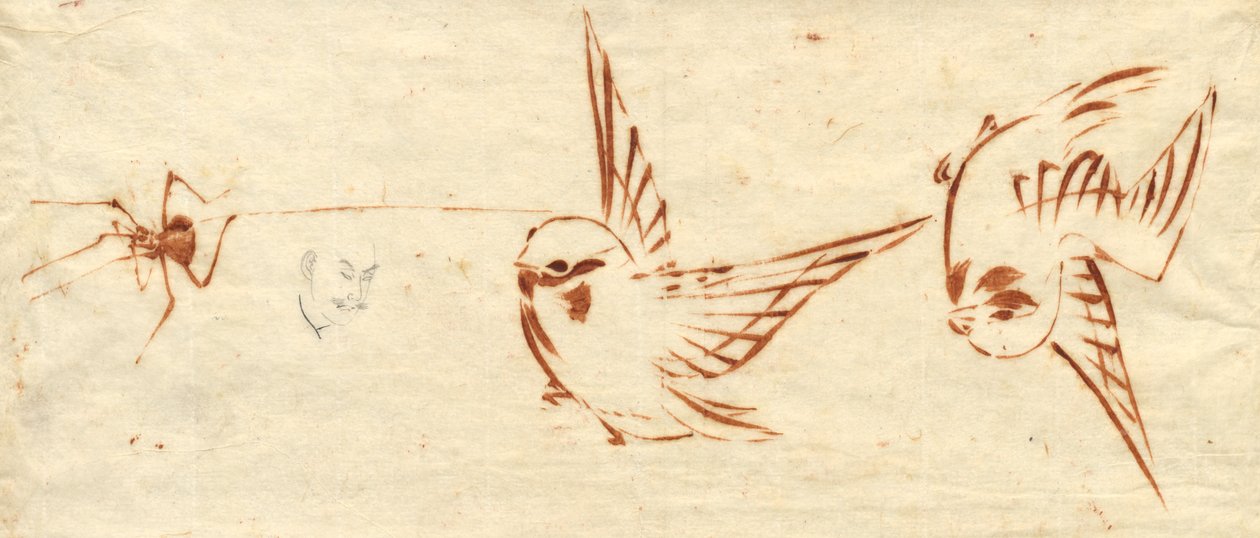 Schetsblad met vogels en spin door attributed to Katsushika Hokusai