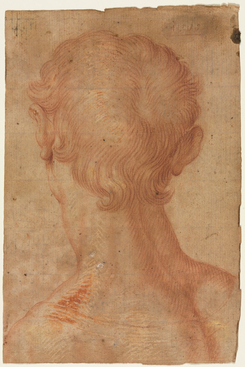 Hoofd van een man van achteren door copy after Agnolo Bronzino