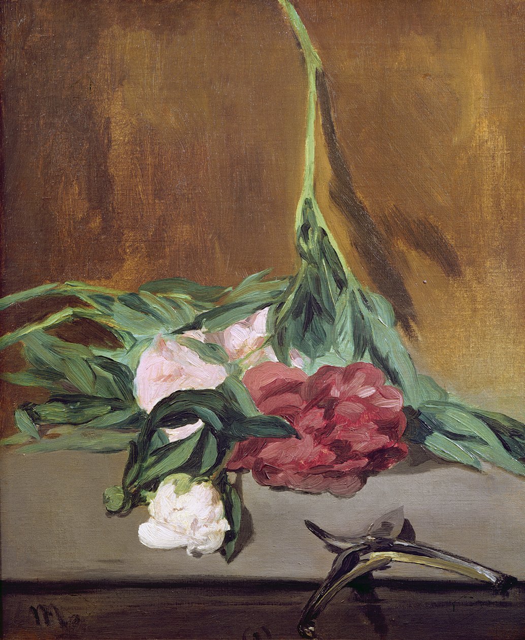 Stam van pioenen en snoeischaar, c.1864 door Édouard Manet