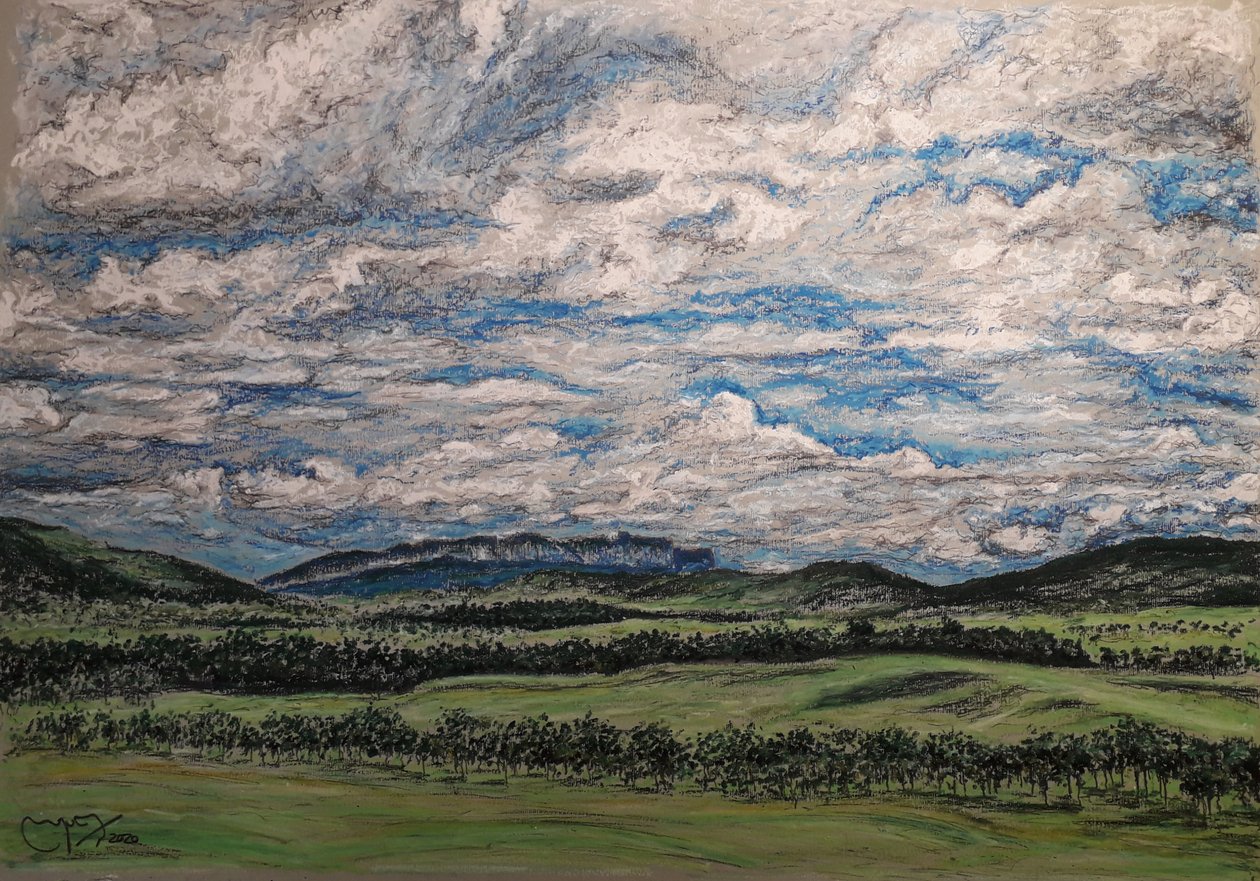 De Grote Savanne Venezuela door miguelmendez_art.ve