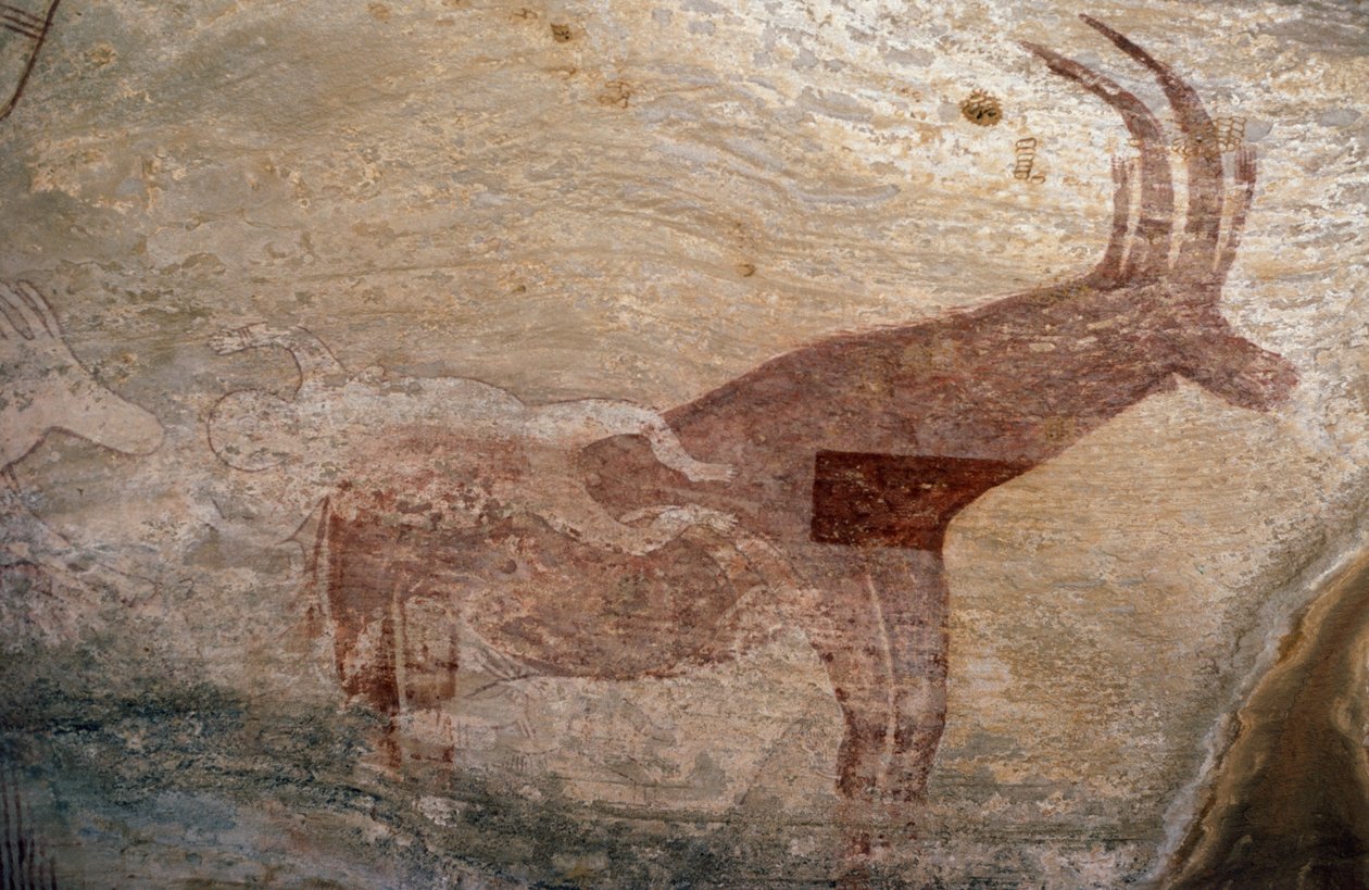 Hoefdier, grotschildering, Sephar, Tassili n