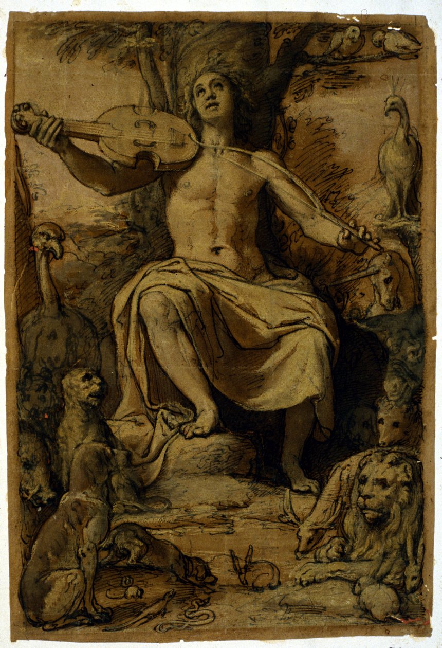 Orpheus betovert de dieren met de muziek van een viool. Tekening door Federico Zuccari (1542 - 1609). door or Zuccaro Federico Zuccari