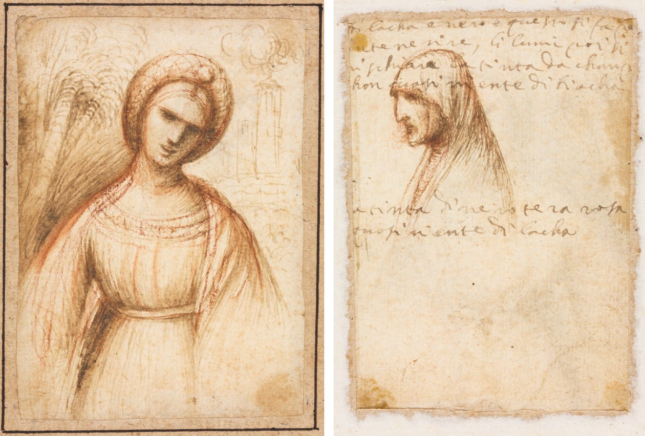 Dame in een landschap (recto); Buste-lengte profiel van een oude vrouw (verso) door possibly by Dosso Dossi