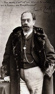Portret van Emile Zola (1840-1902) door Nadar door Nadar