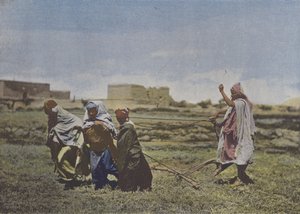 De Ploeg in Kabylie