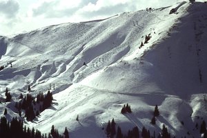 Besneeuwde Helling door Detlef B. Fischer