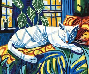 Witte kat slapend in het zonlicht Matisse