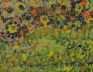 Bloemsymfonie. door Margareta Uliarte