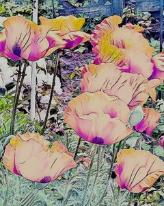 Klaprozen. door Margareta Uliarte