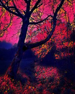 Schemering. door Margareta Uliarte
