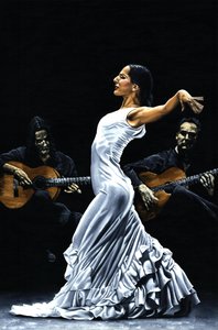 Concentratie Flamenco