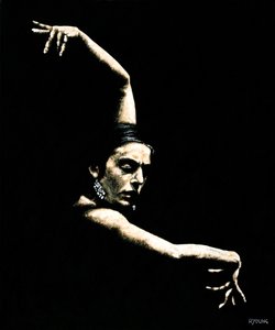Flamenco Wapens
