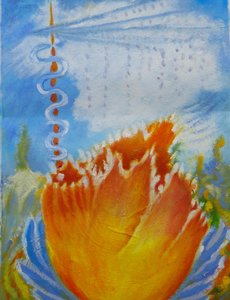 Oranje bloem