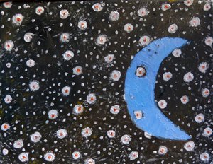 Maanverlichte nacht door 