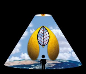 Het Blauwe Wonder door Alexander Eibach
