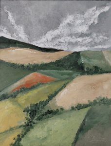 Heggen tussen velden