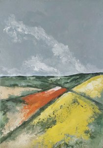 Hügel und Blumenfelder